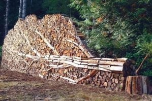 От круп до лодки: самые необычные системы хранения