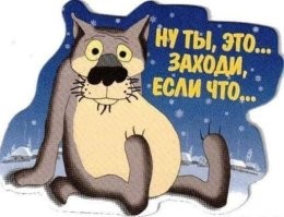В США есть заповедник, где можно пообниматься с волками