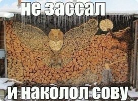 От круп до лодки: самые необычные системы хранения