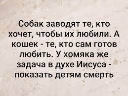 Реакция отца, узнавшего, что в его доме может появиться кошка