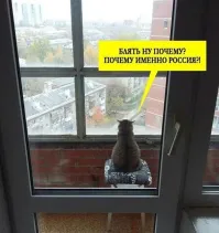 Потому что почему бы и нет...