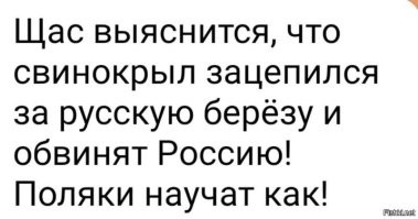 В Киевской области возле детского сада рухнул вертолёт