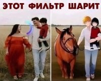 Нифига он не шарит. Там слева, вместо лошади, должна быть свинья.
