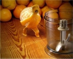 Фотоподборка