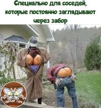 Люди, которые хитроумно отомстили своим соседям