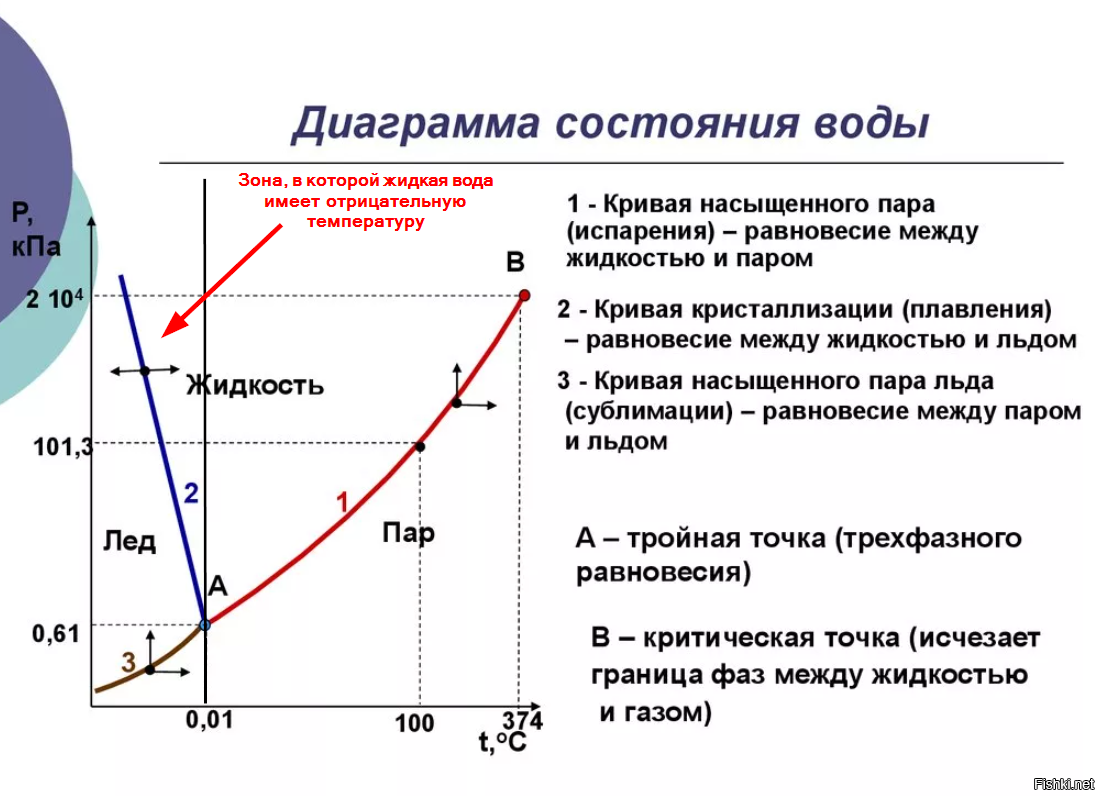 Соответствует кривая. Диаграмма фазового состояния воды. Фазовая диаграмма ВРЛВ. График состояния воды от температуры и давления. Диаграмма состояния (вода, углекислый ГАЗ, сера.