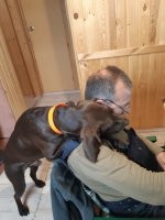 У меня тоже из приюта взят и вот уже 2 года у нас живет, а до сих пор так делает. Пес добрейший и покладистый, но досталось ему - в черепе две пули, переломанные ребра и перерезанное горло плохо срослось, как выжил - не понимаю.