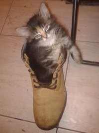 любимое место)