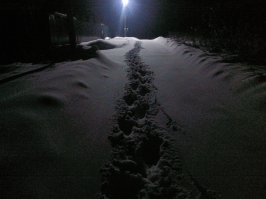 Фотографии, которые показывают, что зима — красивое, но суровое время года