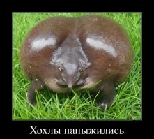 Уилл Смит разозлил украинских подписчиков роликом с русской музыкой