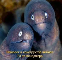 Продолжаем барражировать соцсети