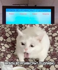 И сколько ещё времени будет глаза мозолить во всех постах этот несчастный Российский Государственный университет физической культуры, спорта, молодёжи и туризма?