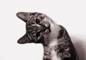 Кто у них там камеру в/н устанавливал?