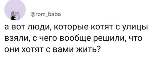 Я у своей спросил: 
- Со мной поедешь? 
- Мяу.
Вызвал такси и поехали))).