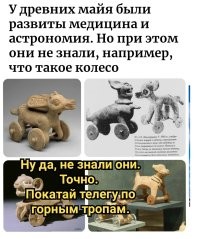 25 любопытных фактов, которые пополнят копилку знаний