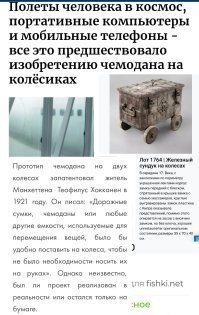 25 любопытных фактов, которые пополнят копилку знаний
