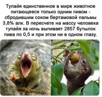 Алкопост на вечер этой пятницы