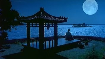 Сидел бы  себе в саду камней, медитировал.