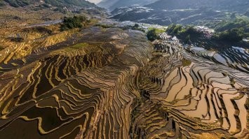 Фотоподборка