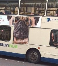 15 нелепых дизайнерских решений, от которых глаза лезут на лоб