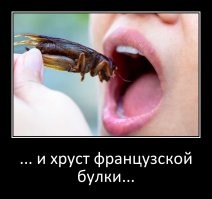 Евросоюз официально разрешил производителям использовать муку из сверчков