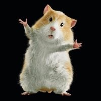 Средний вес хомячка - 0,1 кг, лошади - 500 кг. 
1 лошадь : 500 = 1 хомяк : 0,1 
1 Хомяк по производительности равен 0,0002 лошади. 
1 электрическая лошадиная сила равная 746 ваттам. 
1 хомяк вырабатывает ~0,15 ватта в час. 
I = P / U = ~0,0007 Ампера с одного хомяка. 
Если взяться руками - даже не йобнет.