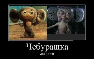 Страшненькие Чебурашки заполонили магазины