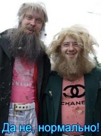 Что только не выбрасывают