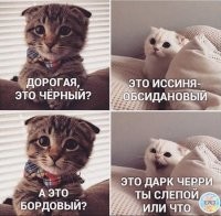 Учёные доказали, что мужской глаз различает только 7 основных цветов. Остальные 100500 млн., ему недоступны.