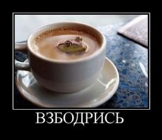 В Австралии поймали жабу гигантских размеров