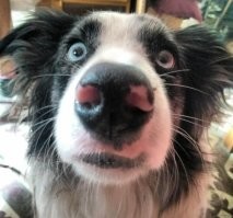 носяра прикольный!