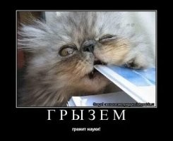 Не ищите здесь смысл. Здесь в основном маразм