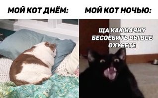 Не ищите здесь смысл. Здесь в основном маразм