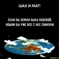 Не ищите здесь смысл. Здесь в основном маразм