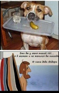 Не ищите здесь смысл. Здесь в основном маразм