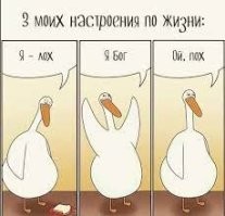 Свежие демотиваторы на разные тематики 