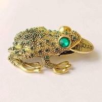 просто у обоих была лягуха