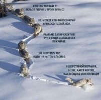 Комментарии и картинки из соцсетей. Свежак за 23 января