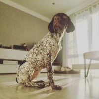 два в одном