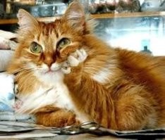 за котовских всегда плюс...