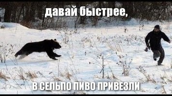 18 правил жизни австралийцев, которые вас сильно удивят