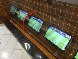 А я отливал вот в таком туалете, только стекло было полукруглое, как красная линия, поливаешь прямо на телики, не вру.