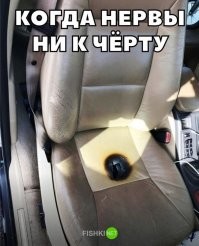 Коллекция автоприколов в картинках