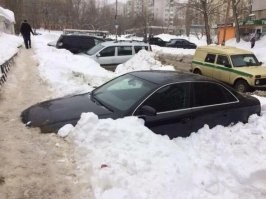 Ни чего особенного, кроме северного сеяния. Прокапывать тропинки до земли их никто не просил