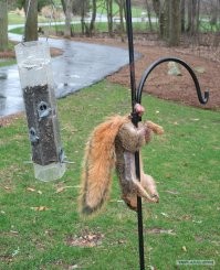 Думал этим опять закончится))