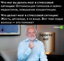 мой мозг крутой - когда у меня стрес он явно дает мне понять что надо пойти выпить и оттянуться, что я собственно и делаю - после отходняков такой энтузиазм в работе и такой очищенный мозг

к сожалению видимо я уникален в этой особенности