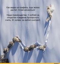 Комментарии и картинки из соцсетей. Свежак за 23 января