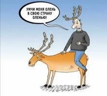 Полёт «Гранты»: в Старом Осколе парень угнал автомобиль и попал в ДТП