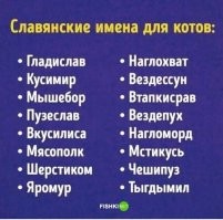 Чёкупил