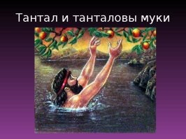 Жесть